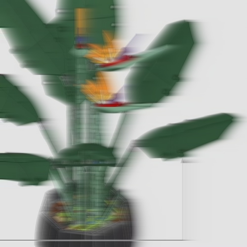 The Plant Parent - 美しい「鳥の楽園」の花束ディスプレイセット。花の模型で、DIYおもちゃとしても、卓上装飾としても使えます。バレンタインのプレゼントに最適。女の子や両親への贈り物に。