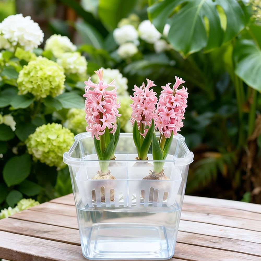 Indoor Plants - チューリップやユリの球根を植えるための、透明な水耕栽培用花瓶。植え替え用のバスケット付き。通気性に優れた、屋内やオフィスで植物を育てるためのツール。