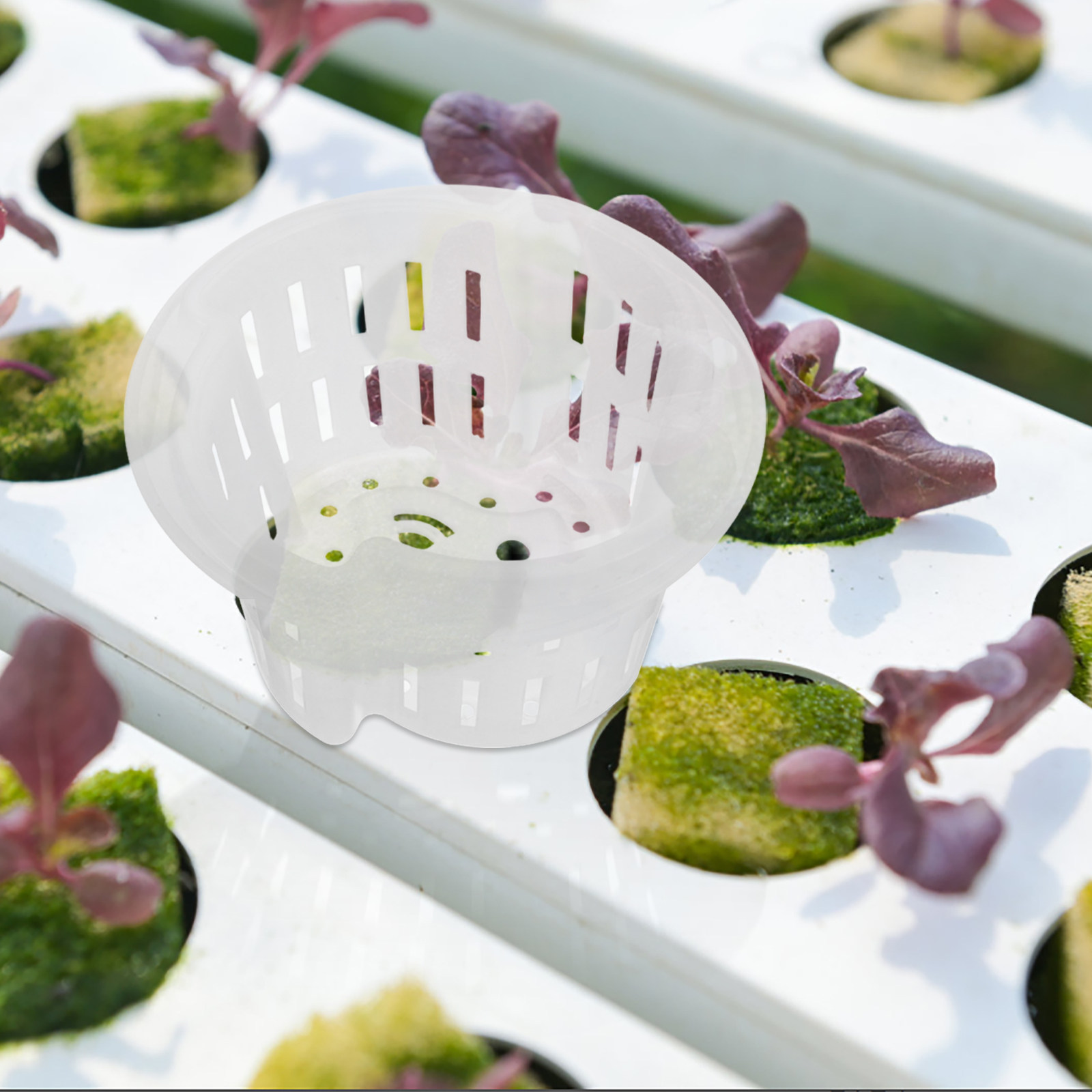 Indoor Plants - 4個入り、水耕栽培用ネットポット。厚手で通気性の良いプラスチック製で、屋内、屋外、バルコニー、庭、育苗場での根の生育を制御するのに適しています。