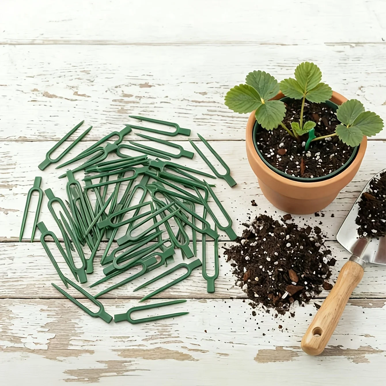 Plant Support Stake - プラスチック製のつる植物用支柱フォーク50個入り - プラスチック製U字型ガーデン支柱 - つる植物固定具 -