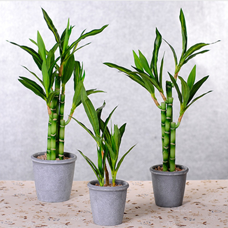 新しい40cm人工ラッキーバンブー多肉植物フェイクプラントフ - Succulent Set のレビューと価格