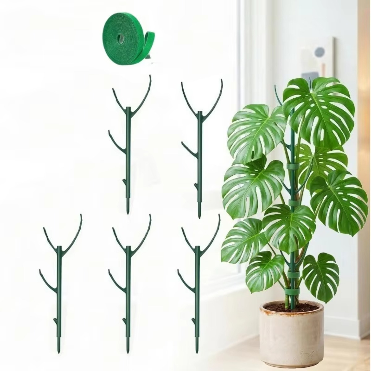 モンステラ植物用支柱6本セット。積み重ね可能な高さ調節可能な - Plant Support Stake のレビューと価格