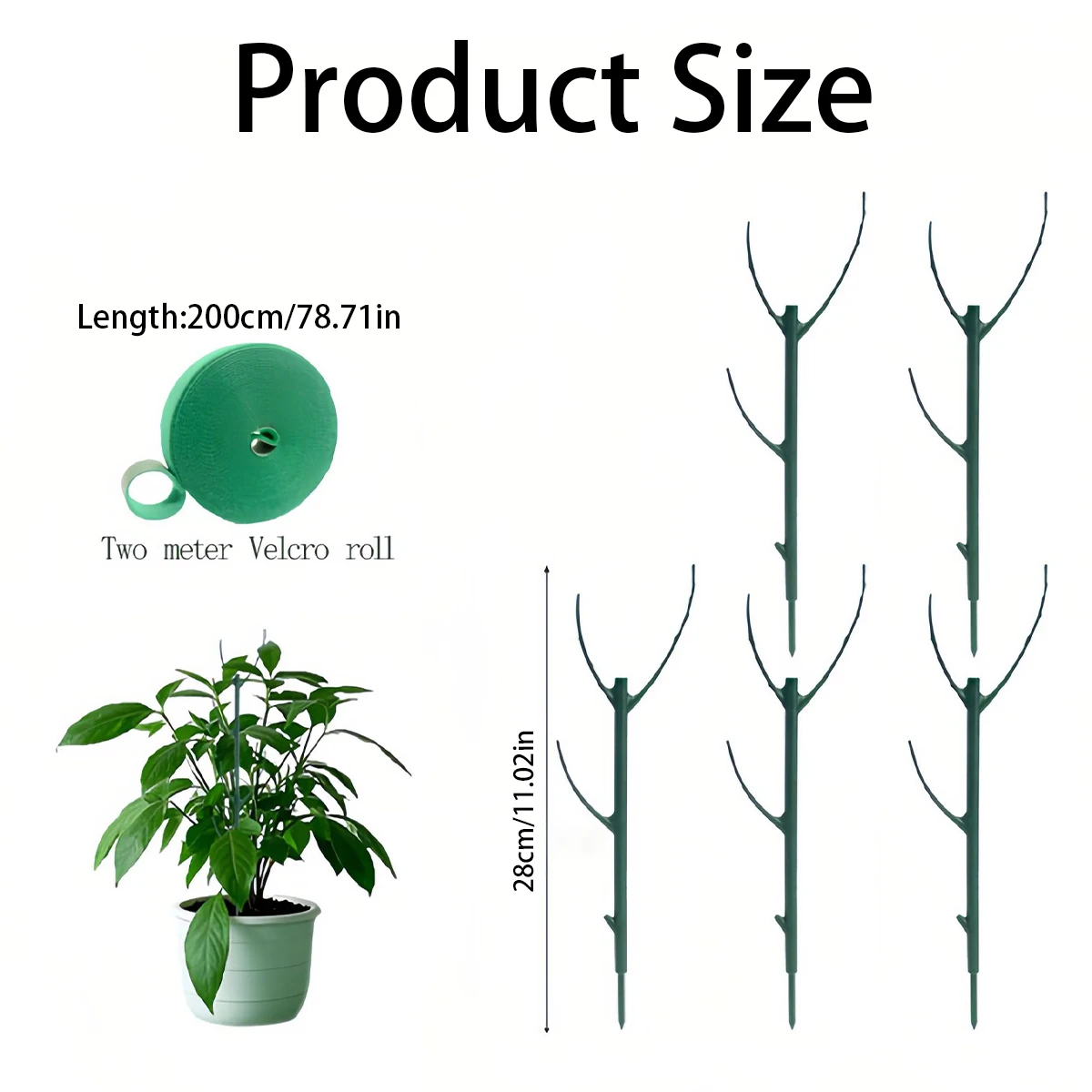 モンステラ植物用支柱6本セット。積み重ね可能な高さ調節可能な - Plant Support Stake のレビューと価格