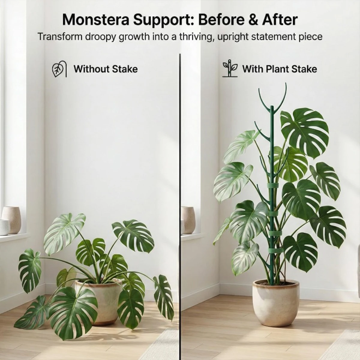 モンステラ植物用支柱6本セット。積み重ね可能な高さ調節可能な - Plant Support Stake のレビューと価格