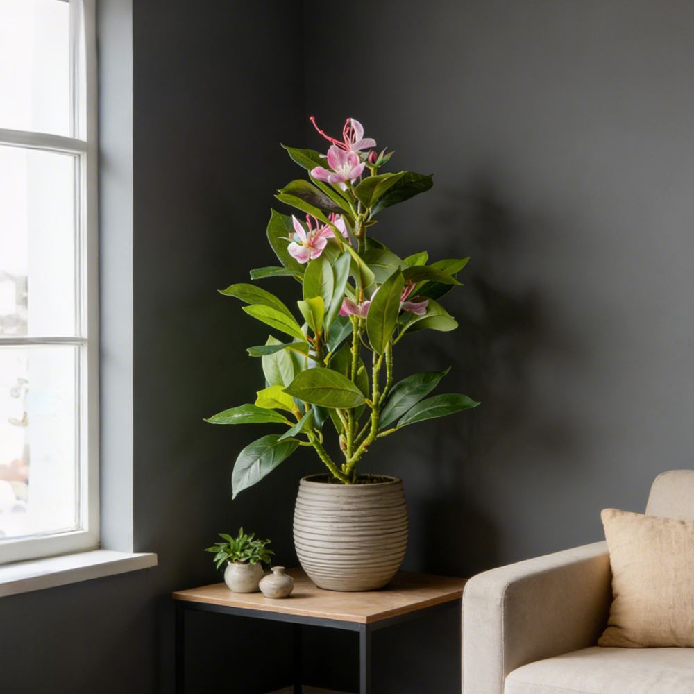 21～40cmの人工アジレアの花、偽のフィカスの木、人工マグ - Snake Plant のレビューと価格