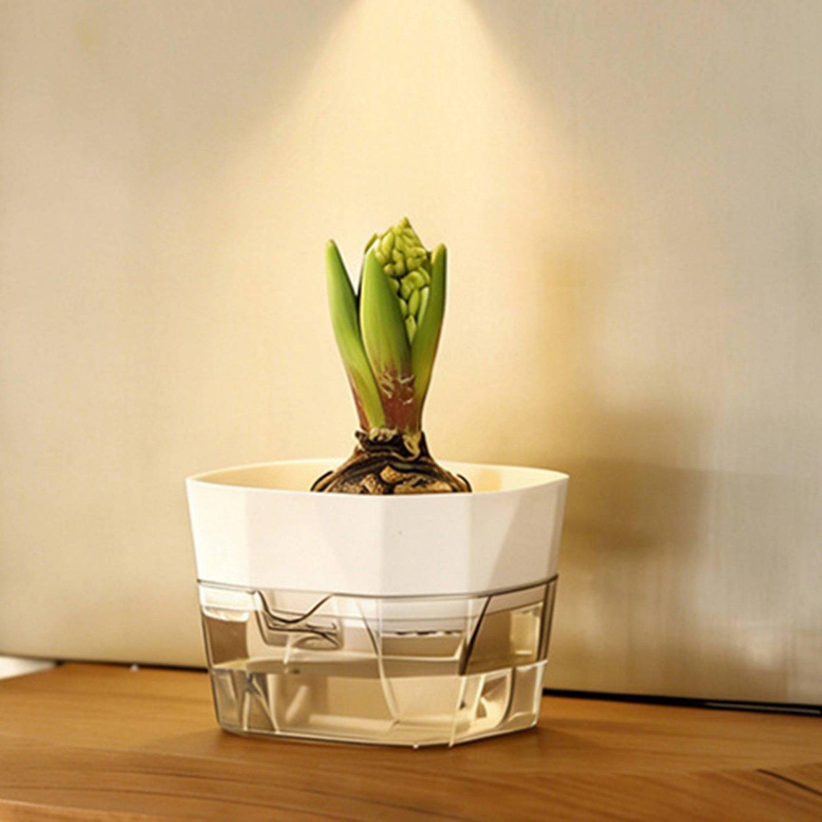 水耕栽培用花瓶 二層式自動給水プランター 透明PET製植木鉢 - Indoor Plants のレビューと価格