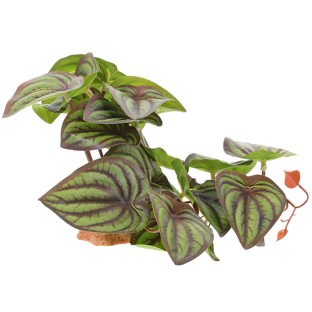 高品質な人工観葉植物。爬虫類用の水槽、魚缸の装飾に。ヤモリ、 - Snake Plant のレビューと価格