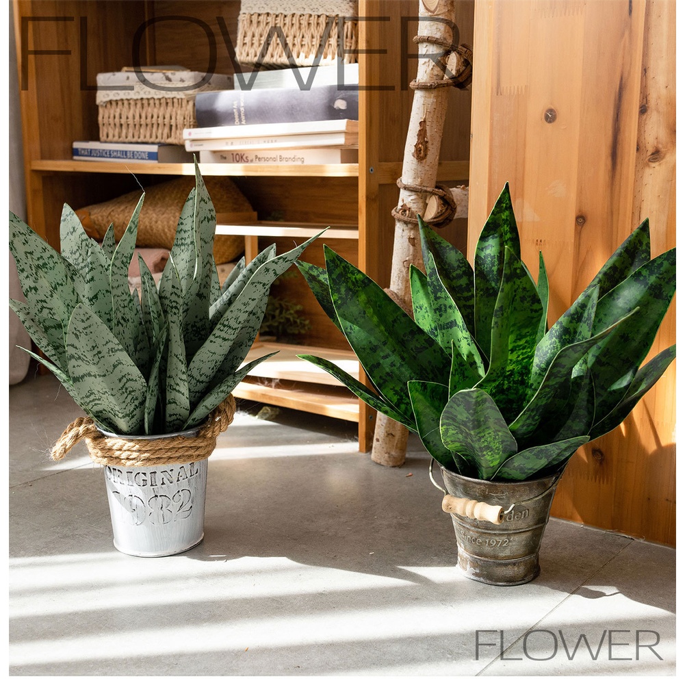 人工PVC製の蛇草（スネークプラント）の造花、33cm。リア - Snake Plant のレビューと価格