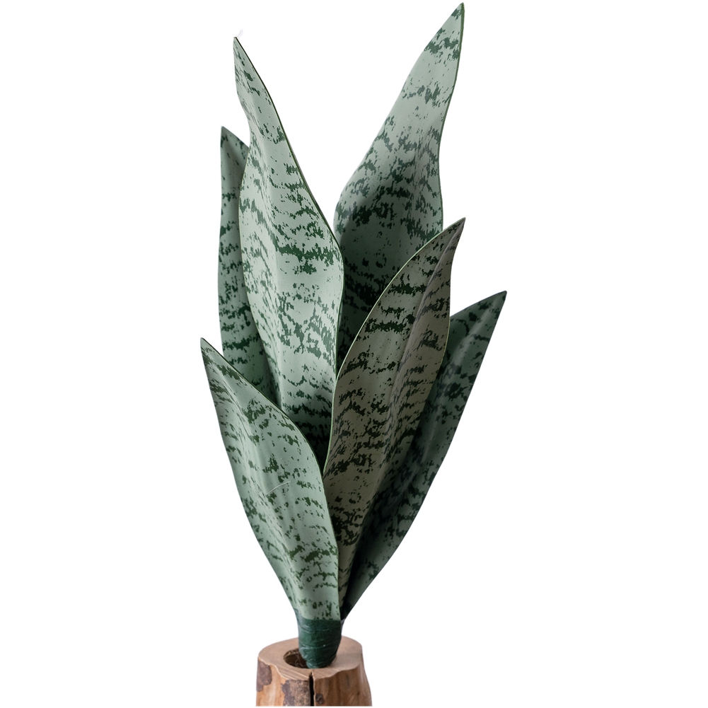 人工PVC製の蛇草（スネークプラント）の造花、33cm。リア - Snake Plant のレビューと価格