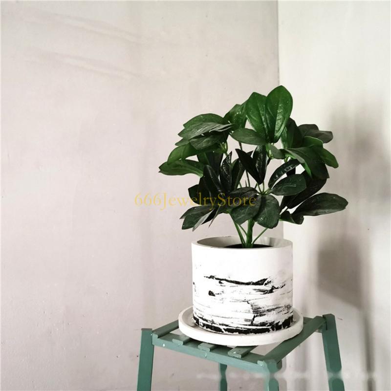 F2TD大きな丸い高級植物プランターポットシリコン金型コンク - Succulent Set のレビューと価格