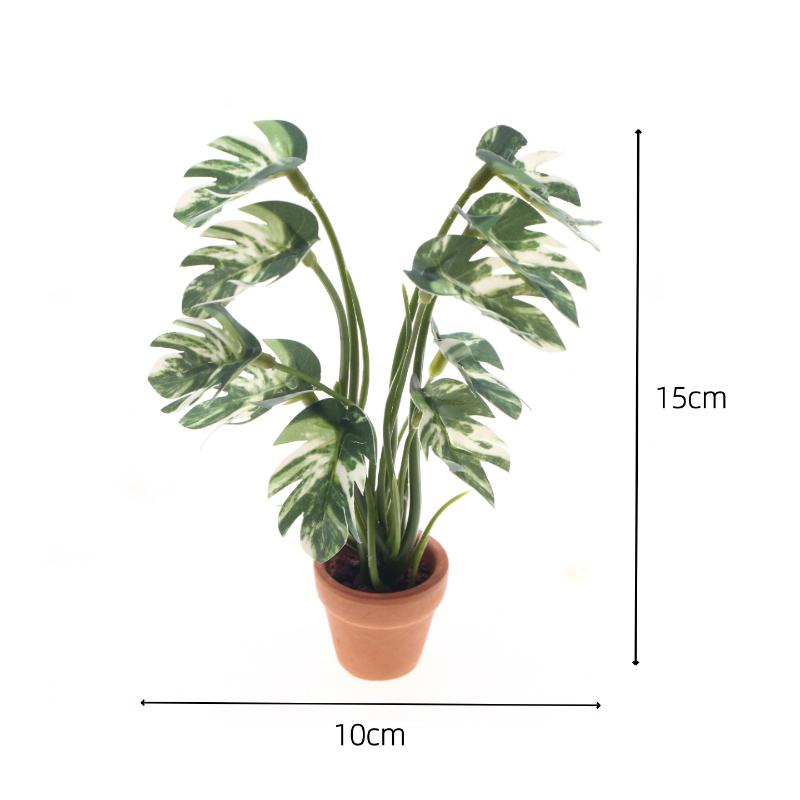 新品。1個入り 1/12 ドールハウス シミュレーション モ - Pothos のレビューと価格