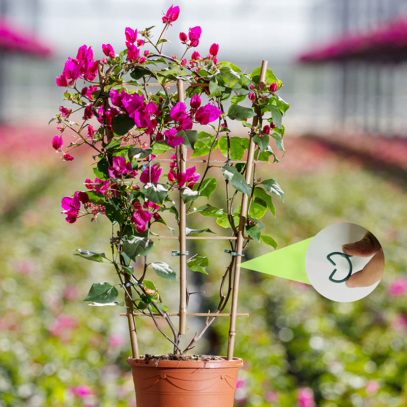 50/100個入り ガーデン植物クリップ つる性植物用垂直栽 - Plant Support Stake のレビューと価格